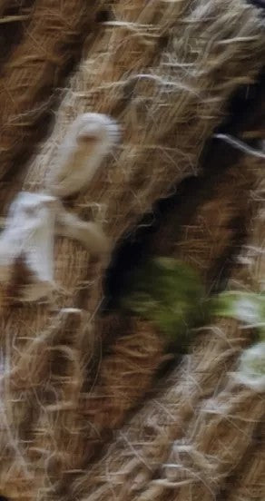 Perfume Oil - Nights In Morocco, 10ml