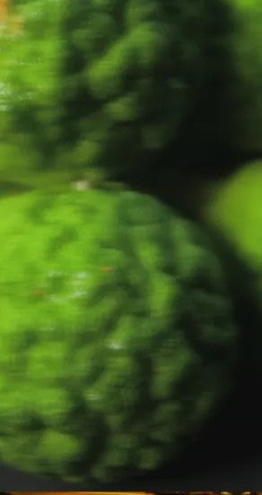 Spray Perfume - Ego Rex, 15ml, 50ml