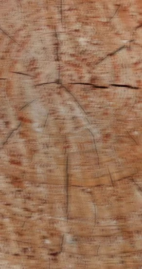 Spray Perfume - Paradox In A Bottle, 15ml, 50ml