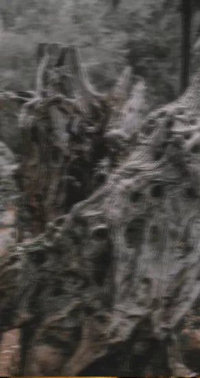 Spray Perfume - Temple of Sensus, 15ml, 50ml